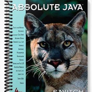 Solutions Manual for Absolute Java 4th Edition by Savitch