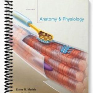 Solutions Manual for Anatomy & Physiology 4th Edition by Marieb