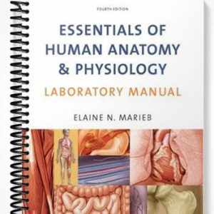 Solutions Manual for Essentials of Human Anatomy & Physiology Laboratory Manual 4th Edition by Marieb