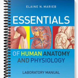 Solutions Manual for Essentials of Human Anatomy & Physiology Laboratory Manual 5th Edition by Marieb