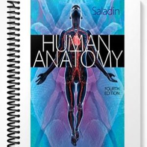 Solutions Manual for Human Anatomy 4th Edition by Saladin
