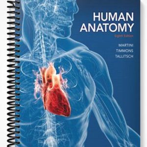 Solutions Manual for Human Anatomy 8th Edition by Martini