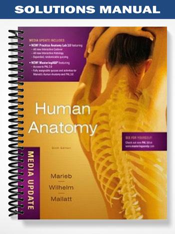Solutions Manual for Human Anatomy Media Update 6th Edition by Marieb