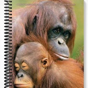 Solutions Manual for Living in the Environment Principles Connections and Solutions 15th Edition by Tyler Miller