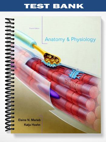 Test Bank for Anatomy & Physiology with Interactive Physiology 10-System Suite 4th Edition by Marieb