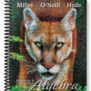 Test Bank for Beginning and Intermediate Algebra 3rd Edition by Miller