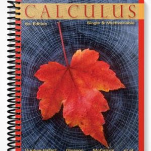 Test Bank for Calculus Single and Multivariable 6th Edition by Hughes-Hallett