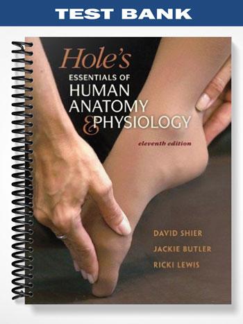 Test Bank for Holes Essentials of Human Anatomy & Physiology 11th Edition by Shier