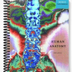 Test Bank for Human Anatomy 5th Edition by Marieb