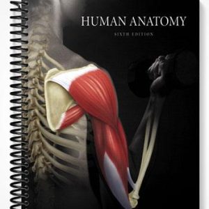 Test Bank for Human Anatomy 6th Edition by Martini