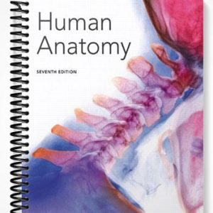 Test Bank for Human Anatomy 7th Edition by Marieb