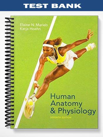Test Bank for Human Anatomy & Physiology 7th Edition by Marieb