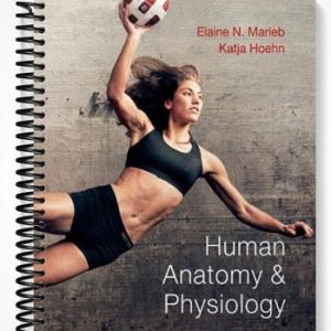 Test Bank for Human Anatomy & Physiology 9th Edition by Marieb