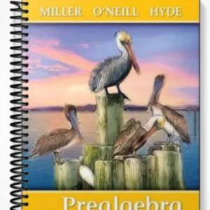 Test Bank for Prealgebra 2nd Edition by Miller